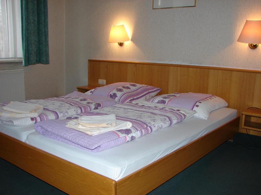 Hotel-Restaurant-Adler Reichenbach im Vogtland Oda fotoğraf